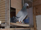 DSCF8648