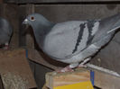 DSCF8651
