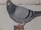DSCF8653