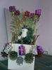 Pic_1217_400