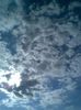 Image031
