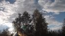 DSCF4486