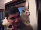 DSCF1806