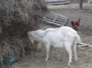 DSC01921