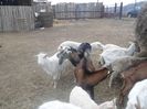 DSC01927
