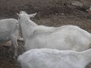 DSC01931