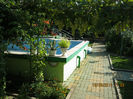IMG_6401_1