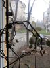 DSCN4412