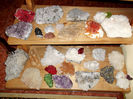 DSCF1736