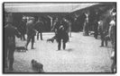 utst_1905