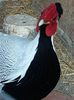 20140104_144754