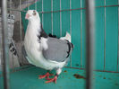 DSCN0278