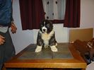 DSC05960