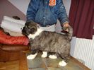 DSC05962