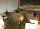 Ro_Dez_2013 010