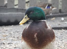 DSC00898