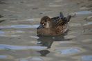 poze 2014 203