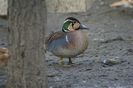 poze 2014 291