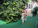IMG_6555_1