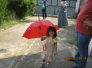 IMG_6559_1