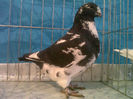 IMG01209-20140105-1307