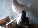 20140105_132315