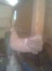 Imag0035