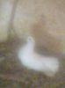 Imag0042