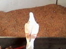 IMG_20131130_143300