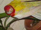 DSC06147