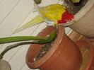DSC06153