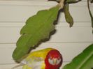DSC06156