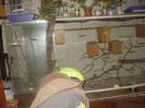 DSC06209