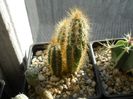 DSCN6793