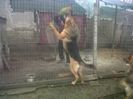 IMG01102-20140105-1533