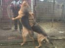 IMG01104-20140105-1533