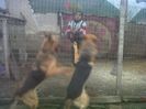 IMG01110-20140105-1535