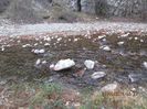 IMG_1951