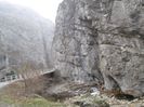 IMG_1959