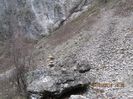 IMG_1970