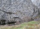 IMG_1977