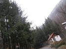 IMG_1994