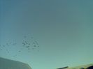 06012014(059)