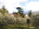 DSCN3178