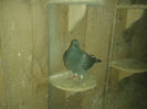 20140102_164002