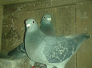 20140102_164047