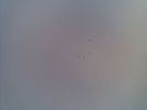 07012014(006)