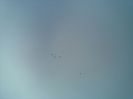 07012014(005)