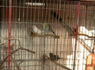 DSCN5449