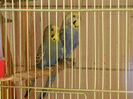 DSCN5458